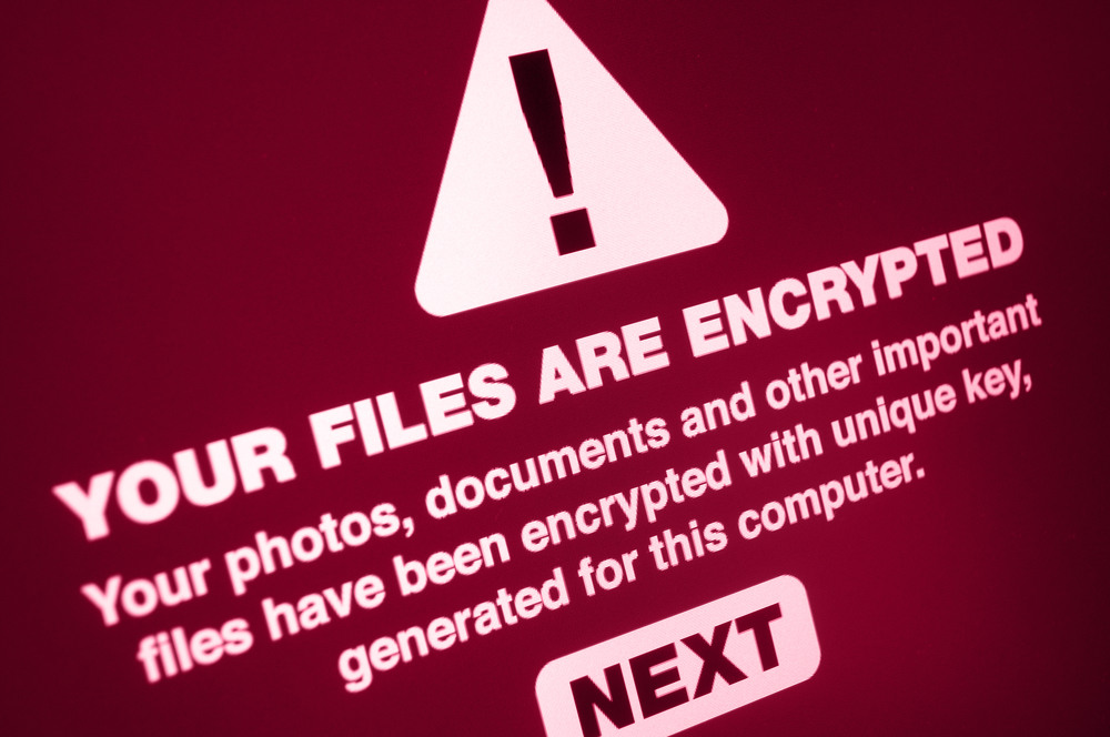 Ransomware Is on the Rise: How to Protect Your Business